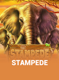 Review Terbaru Game Stampede untuk Pemula game cover